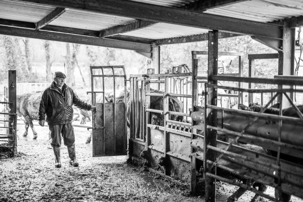 Agriculture Photography Devon