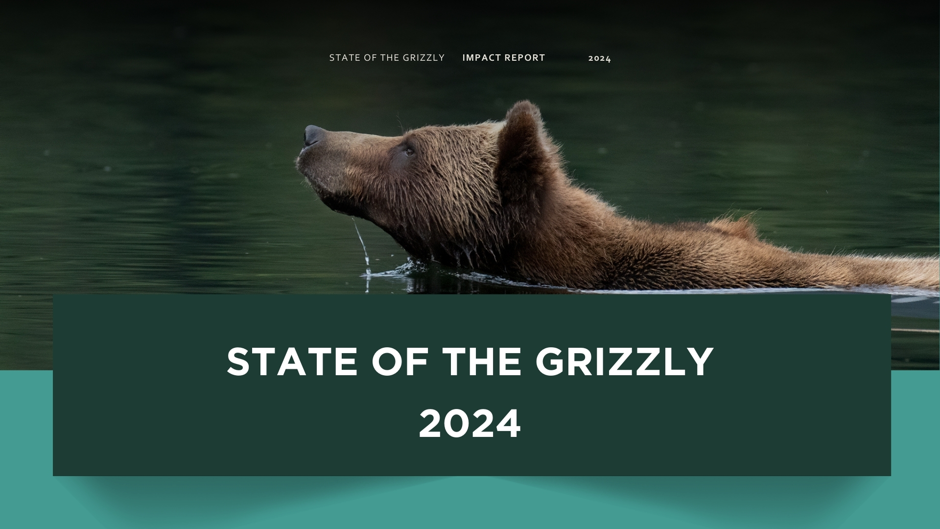 2024 GBF IMPACT REPORT