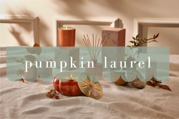 Pumpkin Laurel by Thymes
