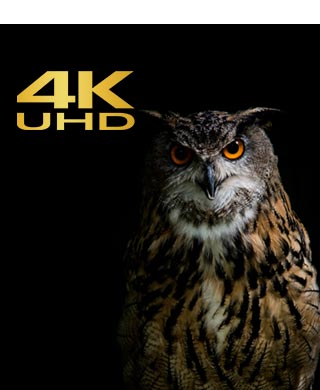 Dash cam 4K