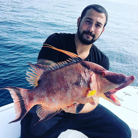 cheap fishing charters st petersburg