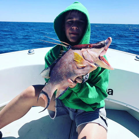 fishing charters tampa