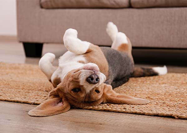 Avoid common flooring mistakes