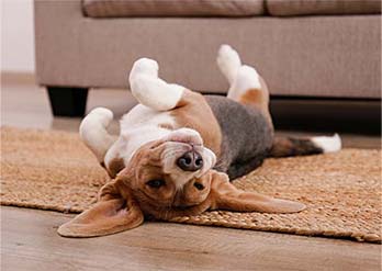 Avoid Flooring Mistakes