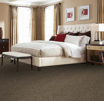 Pet Premier Diffurent Choice Carpet