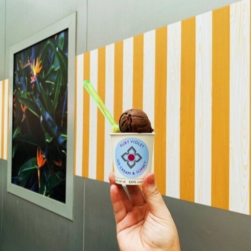 A scoop of Belgian Chocolate in a tub again a wall